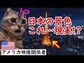 【海外の反応】8K映像で見た日本は嘘？本物を見た外国人の反応がヤバすぎた…猫ミームで紹介。