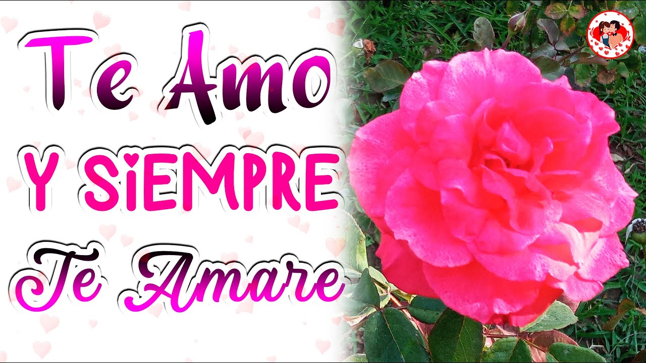 El Mensaje de Amor más bonito para ti mi Amor Te Amo y siempre te Amare ...