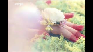 SHYAM RANG ME RANGI RADHIKA|RADHA KRISHNA SONG|