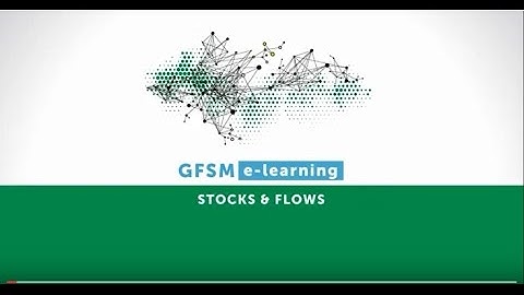 Stocks & Flows