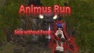 Flyff ~ Animus  Solo & No Food
