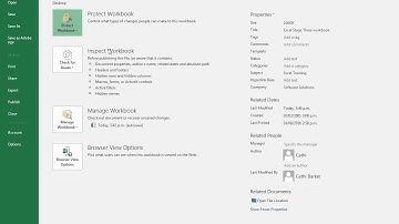 Microsoft Excel Mark as Final