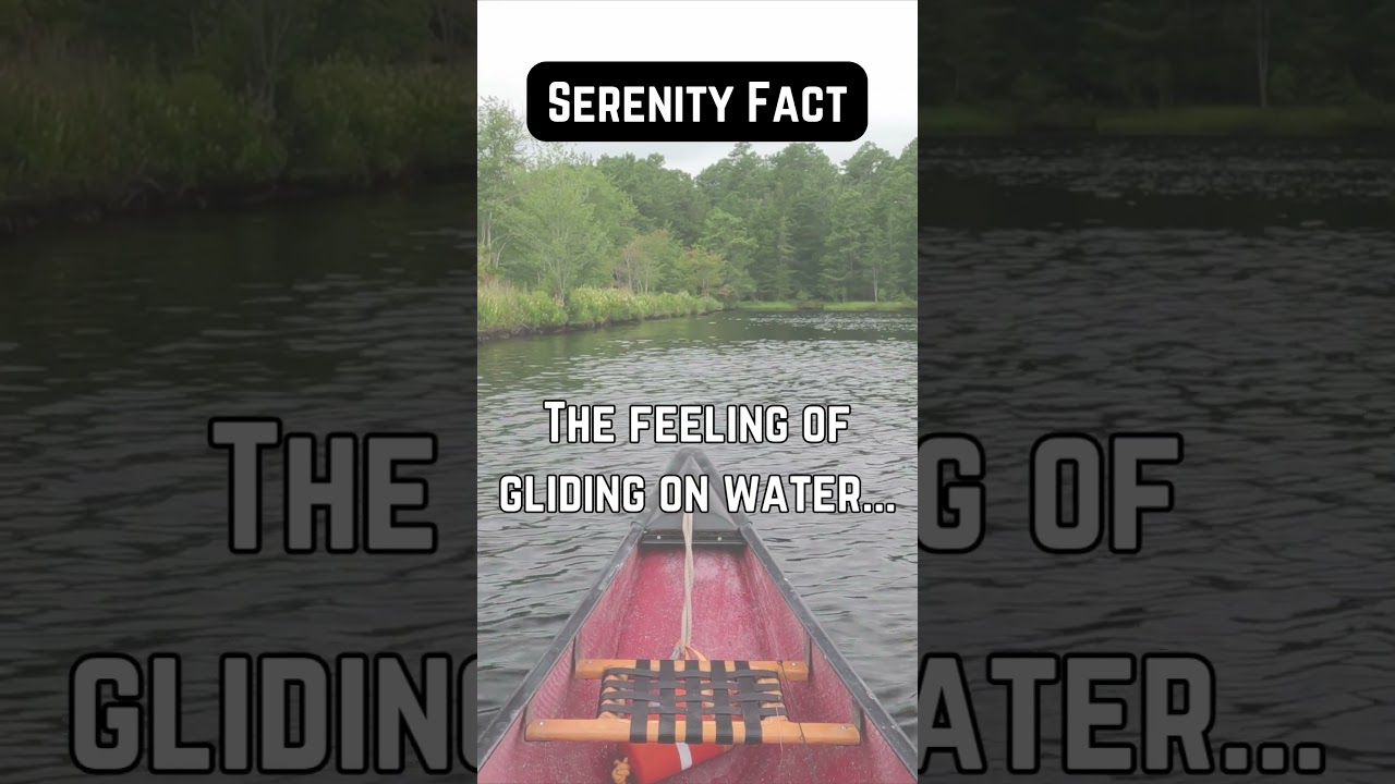 Serenity on Water: Gliding to Inner Peace #InnerPeace #ZenMoments #NatureTherapy