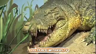 Oahu Island Hawaii Travel Guide - Travel With Kids - Full Episode