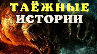 видео: Ужасы тайги/ Мистические страшные истории/ Истории таёжных охотников/ Охотничьи байки картинка: Ужасы тайги/ Мистические страшные истории/ Истории таёжных охотников/ Охотничьи байки