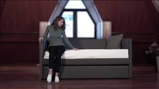Vining Dark Gray Twin Daybed from Homelegance