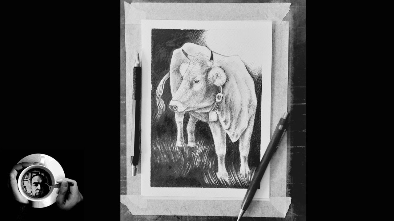 CATTLE | COW | PENCIL DRAWING | How To Draw Tutorial | Simple Animal