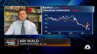 By the time Apple breaks down you&#39;re usually close to a bottom in equities, says Oppenheimer&#39;s Wald