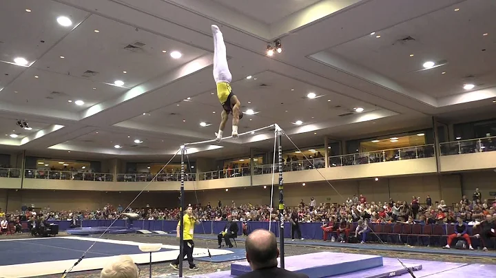 Stacey Ervin  High Bar  2015 Winter Cup Finals