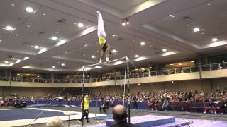 Stacey Ervin – High Bar – 2015 Winter Cup Finals