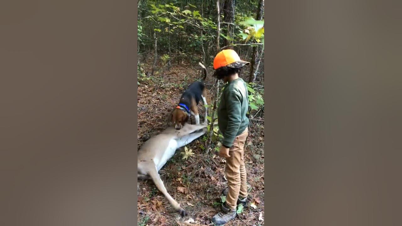 Deer Hunting with Logan and the Meatdogs YouTube