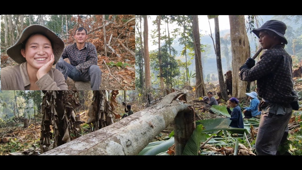 Hnub no coj zog mus luaj teb nawb