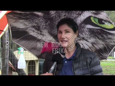 Owners send dogs to animal welfare in Gqeberha