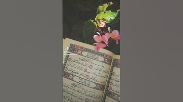 سورة القدر......... ليلة القدر خير من الف شهر