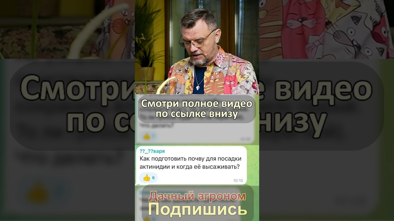 Рекомендации по посадке АКТИНИДИИ #дачныйагроном #актинидия #весна #дачныйсезон