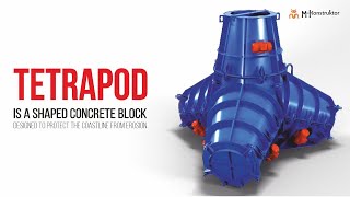 Tetrapods From A Technical Drawing To A Mole