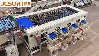 JCSORT Passion Fruit Size Grading Machine – Accurate, Gentle & Efficient Sorting