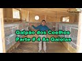 Galpão dos Coelhos Parte # 4 As Gaiolas / Shed for Rabbits Part # 4 The Cages