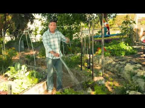 The  Garden Gurus - Water Saving Tips for your Garden Bed
