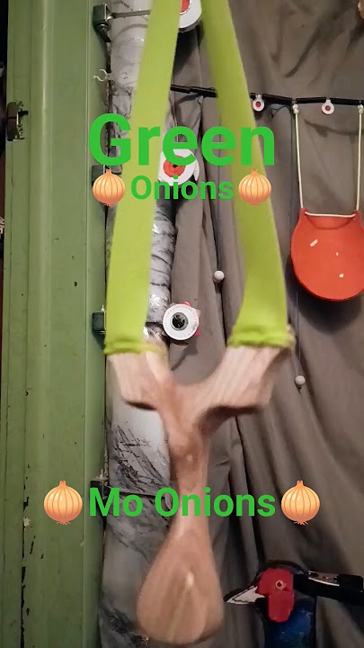 🧅Mo Onions🧅 #slingshot #shorts #handmade #homemade #woodworking #wood #trickshots #target #accuracy