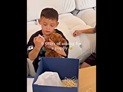 After 6 Years Of Asking His Parents Finally Surprised Him With A Puppy