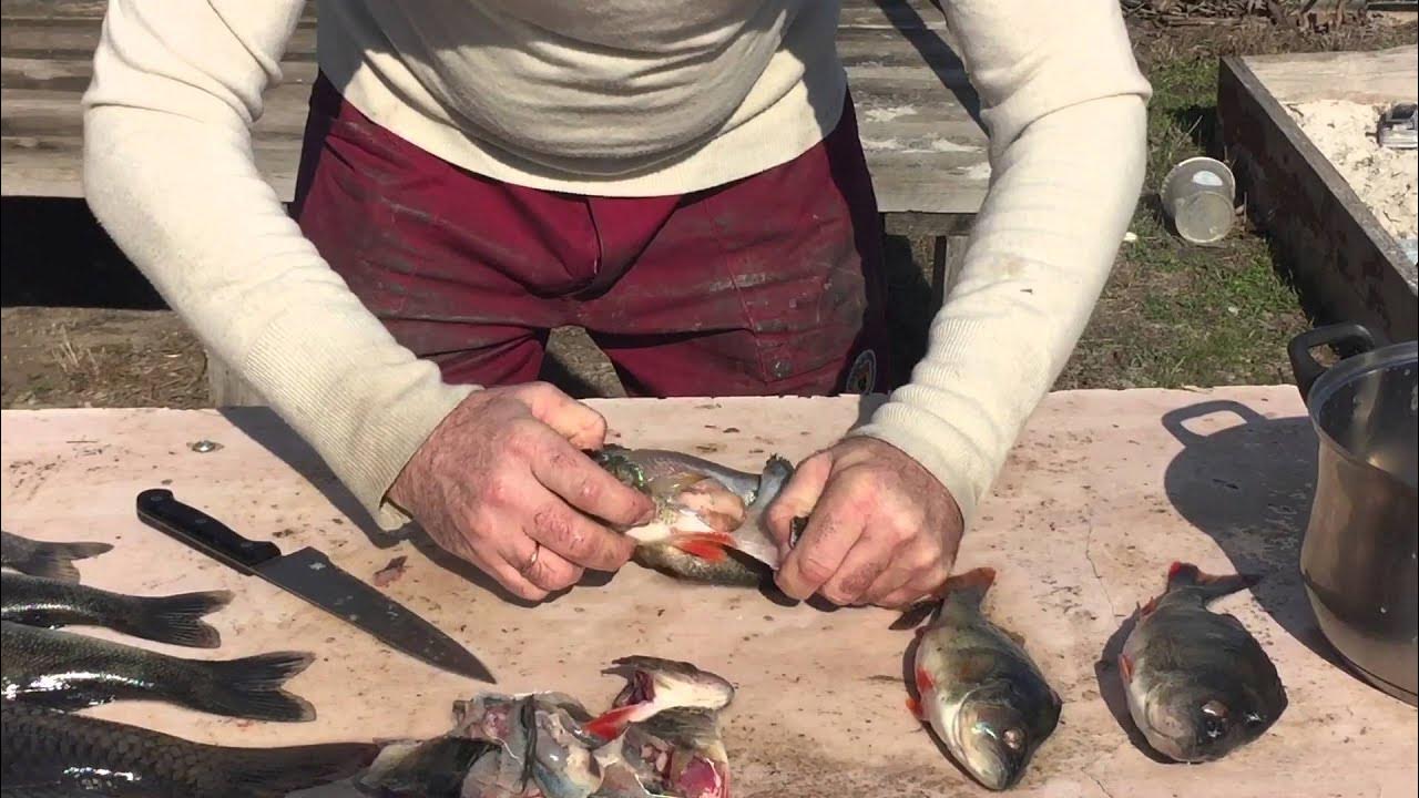 Как быстро чистить окуня видео. Снятие кожи с окуня видео. почистить окуня без проблем от чешуи. как быстро почистить линка.