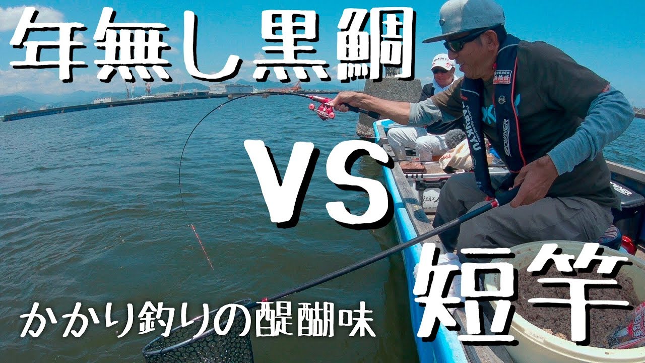 かかり釣り 年無し黒鯛 Vs 短竿 かかり釣りの醍醐味 Youtube