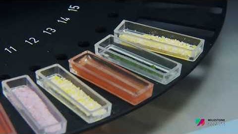 Principle of operation of direct mercury analysis of solid, liquid and gas samples with DMA-80