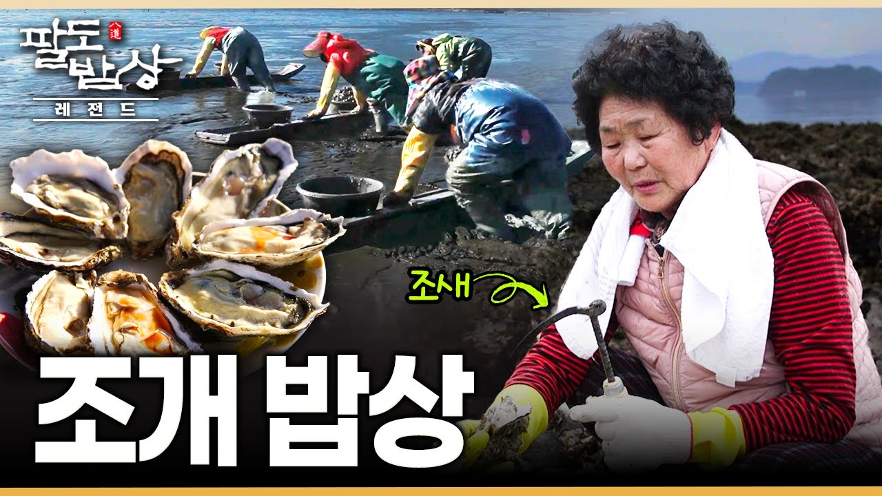 굴·꼬막·가리비가 가장 맛있는 계절 '겨울'.. 바다가 키워낸 풍성한 조개 밥상 | KBS 211211 방송