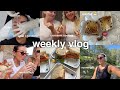 Weekly vlog  running baking with riley botox meetings  outfits