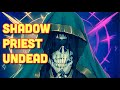 World of Warcraft Classic  - Azuresong -Shadow Priest - level 27-28