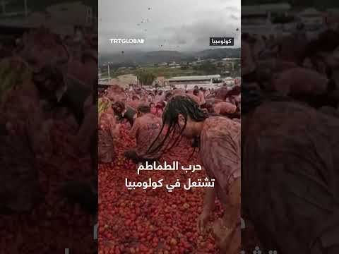مئات آلاف الأشخاص يتراشقون بالطماطم خلال مشاركتهم بمهرجان الطماطم السنوي توماتينا