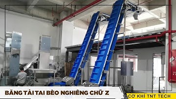 Băng tải tai bèo nghiêng chữ Z - Cơ khí TNT tech