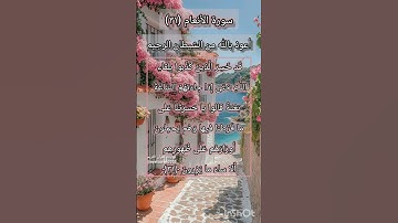 سورة الانعام الآية ٣١