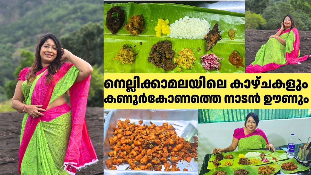 നെല്ലിക്കാമലയിലെ കാഴ്ചകളും കണൂർകോണത്തെ നാടൻ ഊണും|Exploring Nellikkamala,Amboori & Tasting Local Food