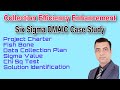 DMAIC case study on Collection Efficiency