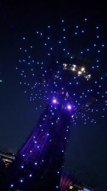 the super trees in garden by the bay Singapore #viral video #view at night