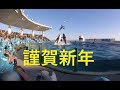 鴨川シーワールド２０１８　シャチパフォーマンス７９　GoProで謹賀新年のシャチをスーパービューで撮ってみた　killer whale show