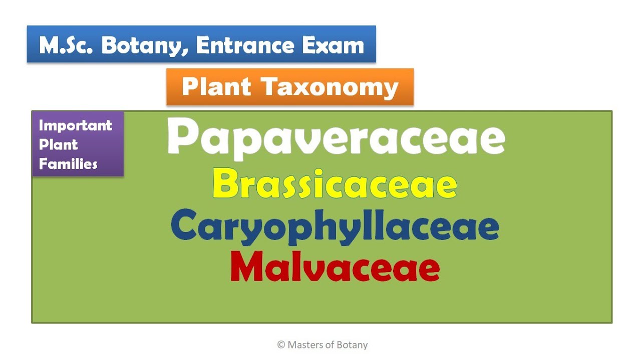 M.Sc. Botany Entrance | Angiosperm Families | Important Notes