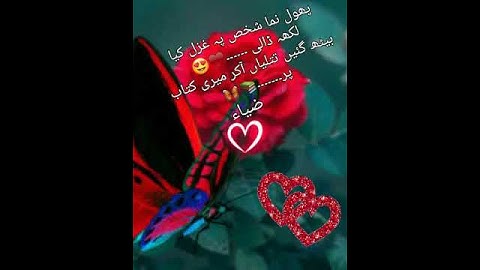 #love # Status #video #videoZia Name # Status