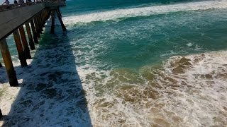 Roses Ocean Suite: An audio visual meditation