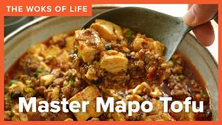 Restaurant Quality Mapo Tofu! (麻婆豆腐)