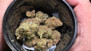 ValuedBud | Weiße Trüffel | 🤍🍫🔥 THCA-Testbericht!!