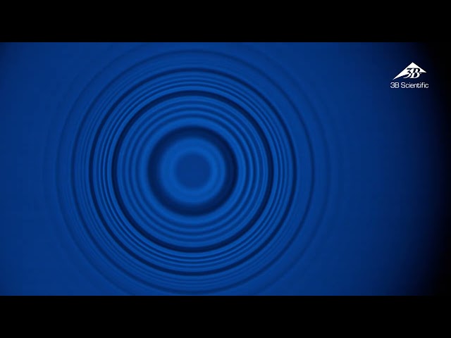 Exp&eacute;rience&nbsp;:
Effet Zeeman normal et anormal, Structure Hyperfine, Interf&eacute;rom&egrave;tre de Fabry-P&eacute;rot, Magn&eacute;ton de Bohr&nbsp;, 8001132 [UE5020800-230], Principes de la physique atomique (Video)
