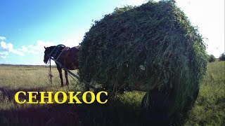 СЕНОКОС // Косим траву //Жизнь в деревне