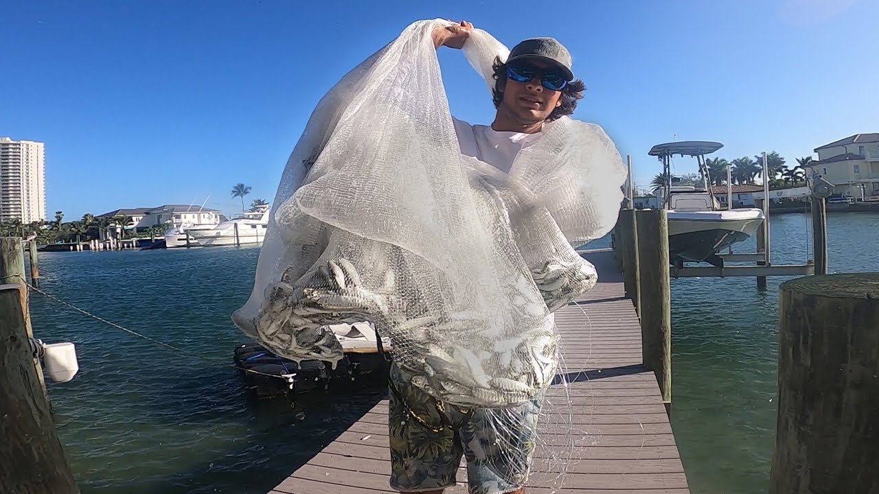 How to Cast Net and Store Thousands of Bait Fish (Cast Netting