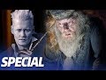 Die KOMPLETTE Vorgeschichte von ALBUS DUMBLEDORE