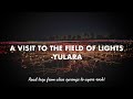 Field of lights - Yulara