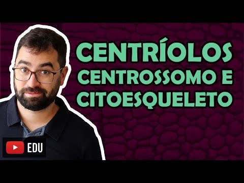 Vídeo: Quando os centrossomos aparecem?