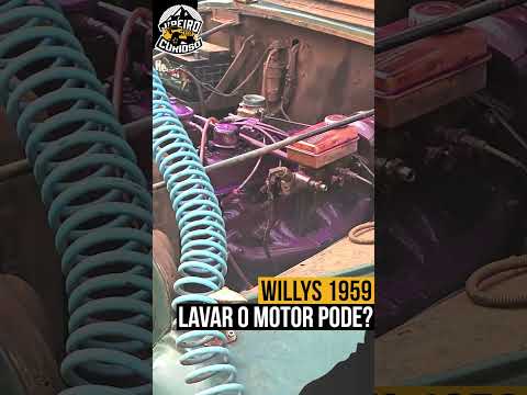 LAVAR O MOTOR PODE?